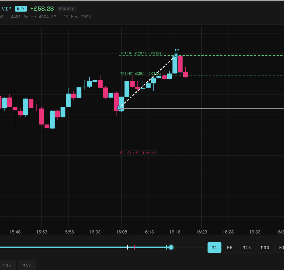 Review every trade, bar by bar
